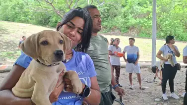 Sepa dónde habrá operativo de atención veterinaria integral este #7Ago Sepa dónde habrá operativo de atención veterinaria integral este #7Ago