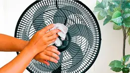 Ventilador | Remueve la suciedad con estos ingredientes