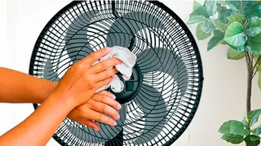 Ventilador | Remueve la suciedad con estos ingredientes Ventilador | Remueve la suciedad con estos ingredientes