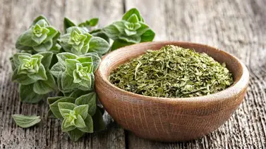 Orégano | 3 beneficios para el metabolismo Orégano | 3 beneficios para el metabolismo
