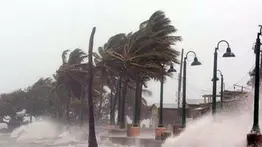 Florida| Tormenta Debby se convierte en huracán categoría 1