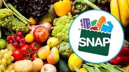 EEUU | Arranca pago de cupones SNAP en Illinois (+Calendario)