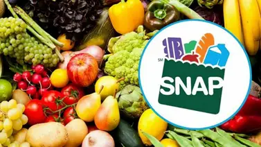 EEUU | Arranca pago de cupones SNAP en Illinois (+Calendario) EEUU | Arranca pago de cupones SNAP en Illinois (+Calendario)