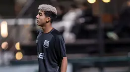 El hermoso gesto de un futbolista inglés con un gato que entró a la cancha