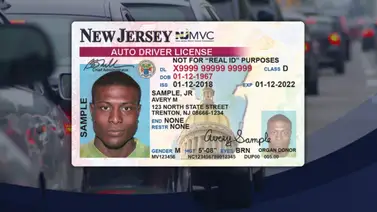 Nueva Jersey | Así puede un inmigrante tramitar la licencia de conducir (+Requisitos) Nueva Jersey | Así puede un inmigrante tramitar la licencia de conducir (+Requisitos)
