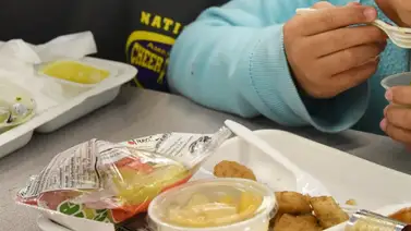 ¿Dónde conseguir alimentos gratis este verano en Florida? (+Detalles) ¿Dónde conseguir alimentos gratis este verano en Florida? (+Detalles)