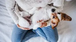 5 señales de que el perro te considera su madre