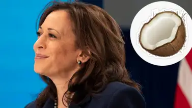 Registran récord de votantes latinos que respaldarán a Kamala Harris Registran récord de votantes latinos que respaldarán a Kamala Harris