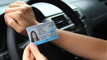 EEUU: Así pueden los inmigrantes evitar estafas con la licencia de conducir EEUU: Así pueden los inmigrantes evitar estafas con la licencia de conducir