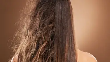Controla el frizz del cabello con estos ingredientes Controla el frizz del cabello con estos ingredientes