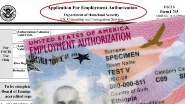 EEUU | ¿Quiénes son elegibles para la extensión del permiso de trabajo? (+Ventajas) EEUU | ¿Quiénes son elegibles para la extensión del permiso de trabajo? (+Ventajas)