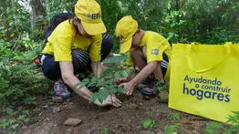 EPA Realizó jornada de siembra en Parque Municipal Casupo