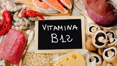 Esto le sucede a tu cuerpo si tomas vitamina B12 todos los días Esto le sucede a tu cuerpo si tomas vitamina B12 todos los días