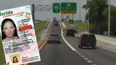 La nueva medida que afecta las licencias de conducir en Florida (+Detalles ) La nueva medida que afecta las licencias de conducir en Florida (+Detalles )