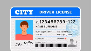 Florida | Descubra el cambio que tendrán las licencias de conducir desde este #1Ago Florida | Descubra el cambio que tendrán las licencias de conducir desde este #1Ago