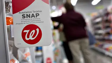 EEUU | Cupones SNAP: estos son los próximos pagos EEUU | Cupones SNAP: estos son los próximos pagos