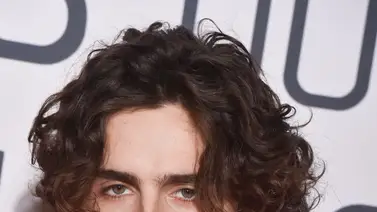 Timothée Chalamet se transforma en Bob Dylan para su nuevo proyecto (+Video) Timothée Chalamet se transforma en Bob Dylan para su nuevo proyecto (+Video)