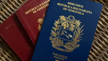 ¿A cuántos países tiene acceso sin visa el pasaporte venezolano? ¿A cuántos países tiene acceso sin visa el pasaporte venezolano?