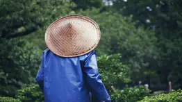 EEUU: En Texas solicitan jardineros ante escasez de mano de obra