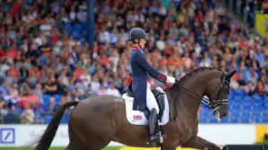Jinete queda expulsada de los Juegos Olímpicos por maltrato animal (+Video) Jinete queda expulsada de los Juegos Olímpicos por maltrato animal (+Video)