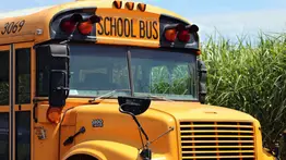 EEUU | En este estado faltan choferes para manejar autobuses escolares: Sepa cómo aplicar