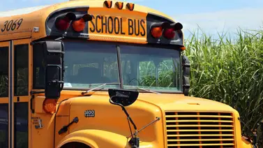 EEUU | En este estado faltan choferes para manejar autobuses escolares: Sepa cómo aplicar EEUU | En este estado faltan choferes para manejar autobuses escolares: Sepa cómo aplicar