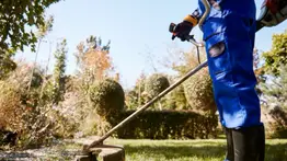 Maryland | Sepa cuánto puede ganar un profesional de la jardinería (+Recomendaciones)