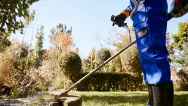 Maryland | Sepa cuánto puede ganar un profesional de la jardinería (+Recomendaciones) Maryland | Sepa cuánto puede ganar un profesional de la jardinería (+Recomendaciones)