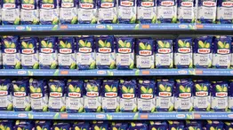 Mary presenta su nueva harina de maíz blanco