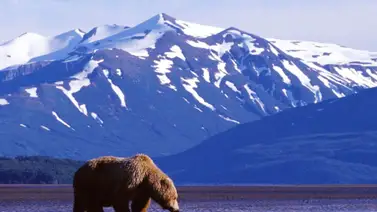 EEUU | Estos son los rincones que no puedes dejar en visitar en Alaska EEUU | Estos son los rincones que no puedes dejar en visitar en Alaska