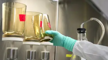 La ciencia de los péptidos y el cerebro La ciencia de los péptidos y el cerebro