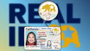 EEUU | ¿Los inmigrantes con TPS deben tramitar la Real ID? EEUU | ¿Los inmigrantes con TPS deben tramitar la Real ID?