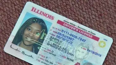 Illinois | ¿Se puede aprobar el examen para licencia de conducir en español? (+Detalles) Illinois | ¿Se puede aprobar el examen para licencia de conducir en español? (+Detalles)