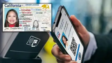 California | Así puedes tramitar la licencia de conducir de manera digital (+Requisitos) California | Así puedes tramitar la licencia de conducir de manera digital (+Requisitos)