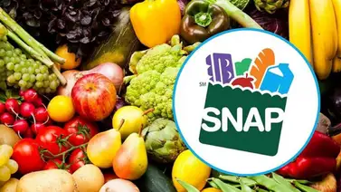 EEUU | Consulte quiénes estarán recibiendo beneficios SNAP hasta el #28Jul (+Lista) EEUU | Consulte quiénes estarán recibiendo beneficios SNAP hasta el #28Jul (+Lista)