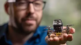 Crean un minirobot inspirado en las hormigas