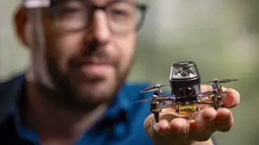 Crean un minirobot inspirado en las hormigas Crean un minirobot inspirado en las hormigas