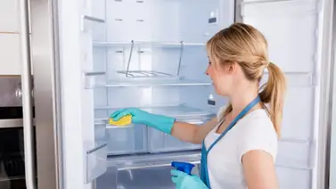 Métodos para limpiar la nevera y acabar con el mal olor Métodos para limpiar la nevera y acabar con el mal olor