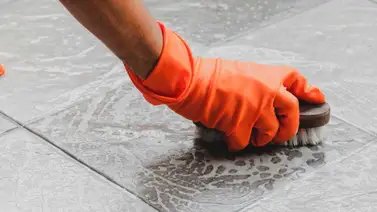 ¡Sin esfuerzos! Con estos ingredientes podrás mantener el piso impecable ¡Sin esfuerzos! Con estos ingredientes podrás mantener el piso impecable