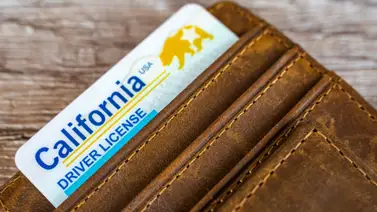 California reduce tiempo de espera para tramitar el Real ID California reduce tiempo de espera para tramitar el Real ID