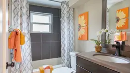 Cortinas de baño ¡Cómo debe ser el mantenimiento según su tipo!