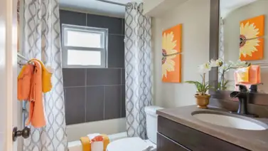 Cortinas de baño ¡Cómo debe ser el mantenimiento según su tipo! Cortinas de baño ¡Cómo debe ser el mantenimiento según su tipo!