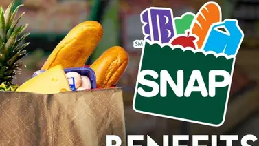 Texas | ¿Quiénes recibirán un pago adicional automático de SNAP? (+Lista) Texas | ¿Quiénes recibirán un pago adicional automático de SNAP? (+Lista)