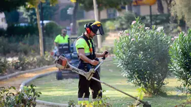 EEUU | Esta empresa en California brinda salario mensual de $ 4.000 EEUU | Esta empresa en California brinda salario mensual de $ 4.000
