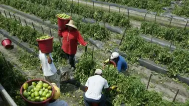 EEUU | Esto es lo que pagan en impuestos los indocumentados en Florida EEUU | Esto es lo que pagan en impuestos los indocumentados en Florida