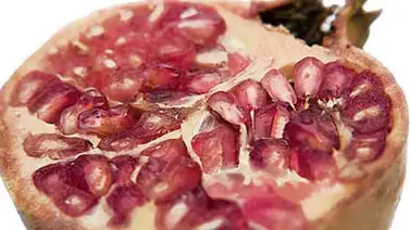 Comer usando todos los sentidos Comer usando todos los sentidos